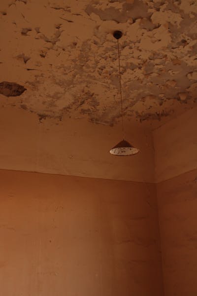 humedad en techo cubierta por seguro de hogar